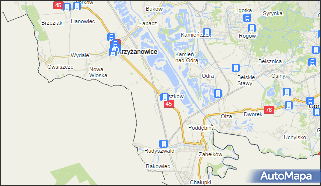 mapa Roszków gmina Krzyżanowice, Roszków gmina Krzyżanowice na mapie Targeo