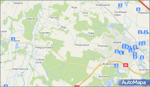 mapa Roszkowice gmina Niemodlin, Roszkowice gmina Niemodlin na mapie Targeo