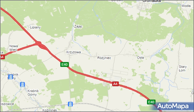 mapa Różyniec, Różyniec na mapie Targeo