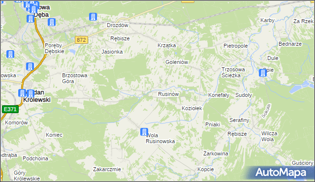 mapa Rusinów gmina Majdan Królewski, Rusinów gmina Majdan Królewski na mapie Targeo
