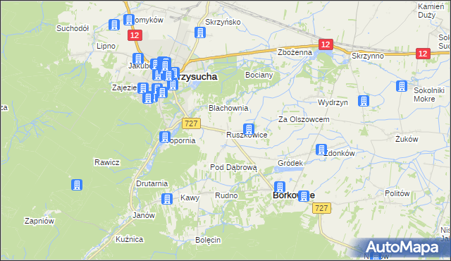mapa Ruszkowice gmina Borkowice, Ruszkowice gmina Borkowice na mapie Targeo