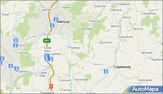 mapa Ruszkowice gmina Niemcza, Ruszkowice gmina Niemcza na mapie Targeo