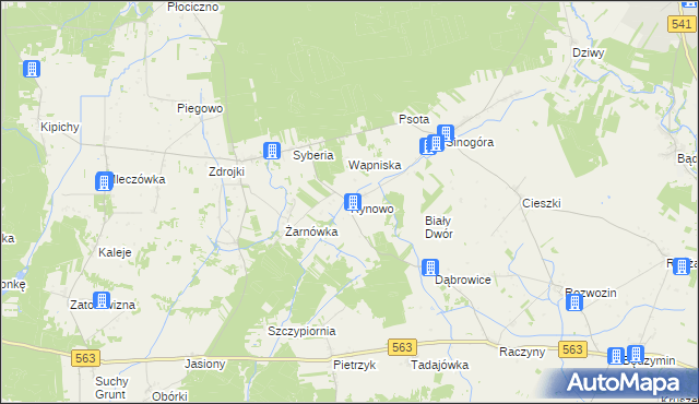 mapa Rynowo gmina Lubowidz, Rynowo gmina Lubowidz na mapie Targeo