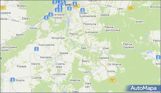 mapa Sałki gmina Pionki, Sałki gmina Pionki na mapie Targeo