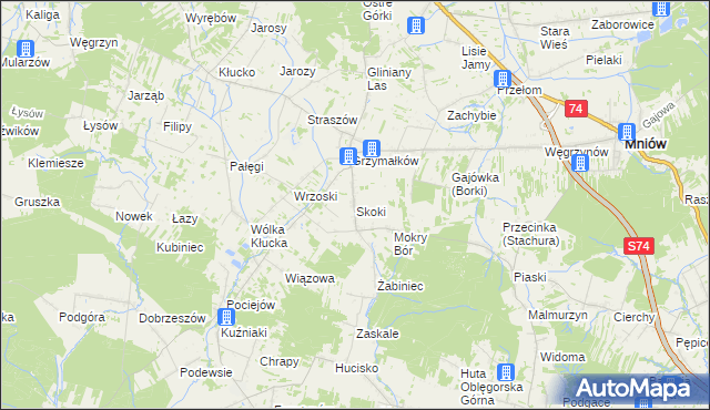 mapa Skoki gmina Mniów, Skoki gmina Mniów na mapie Targeo