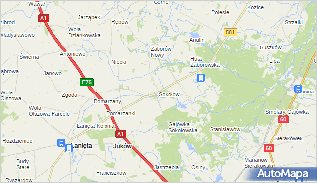 mapa Sokołów gmina Gostynin, Sokołów gmina Gostynin na mapie Targeo