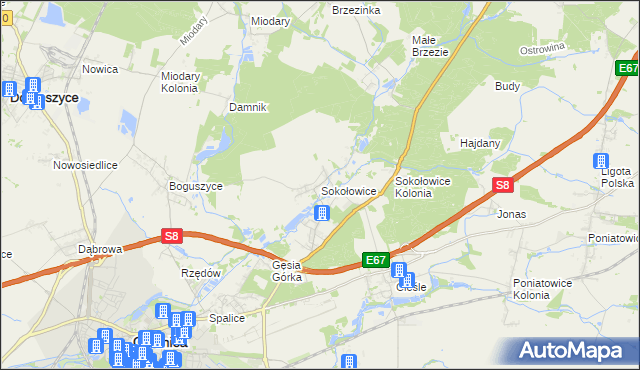 mapa Sokołowice gmina Oleśnica, Sokołowice gmina Oleśnica na mapie Targeo