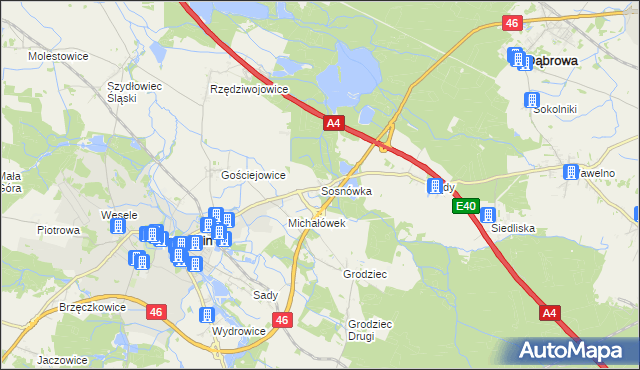 mapa Sosnówka gmina Niemodlin, Sosnówka gmina Niemodlin na mapie Targeo