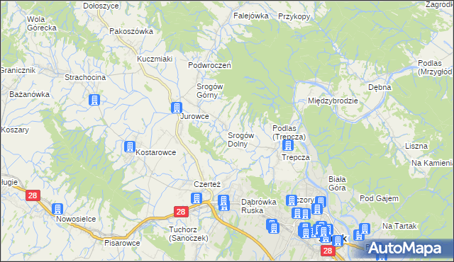 mapa Srogów Dolny, Srogów Dolny na mapie Targeo
