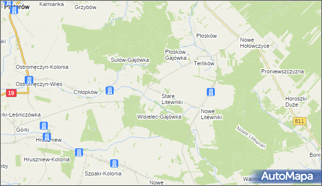 mapa Stare Litewniki, Stare Litewniki na mapie Targeo