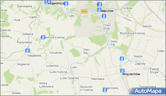 mapa Stary Gaj gmina Wojciechów, Stary Gaj gmina Wojciechów na mapie Targeo