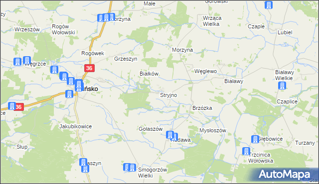 mapa Stryjno gmina Wińsko, Stryjno gmina Wińsko na mapie Targeo