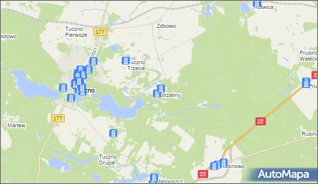 mapa Strzaliny, Strzaliny na mapie Targeo
