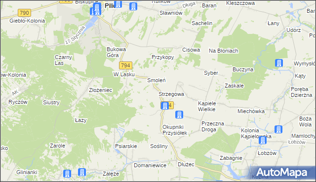 mapa Strzegowa gmina Wolbrom, Strzegowa gmina Wolbrom na mapie Targeo