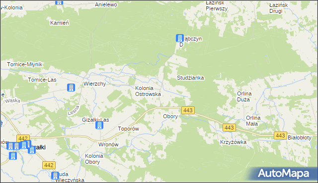 mapa Świerczyna gmina Gizałki, Świerczyna gmina Gizałki na mapie Targeo