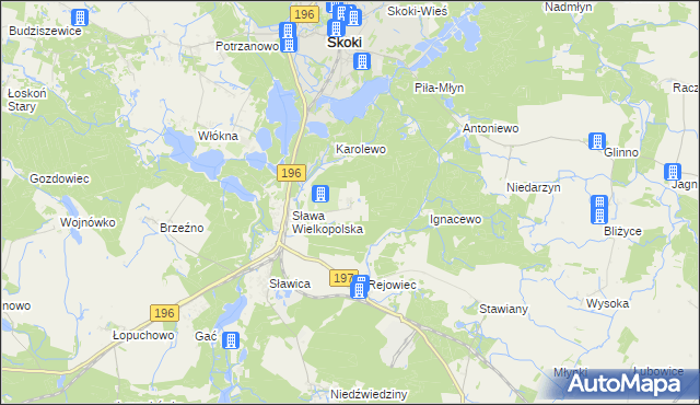 mapa Szczodrochowo gmina Skoki, Szczodrochowo gmina Skoki na mapie Targeo