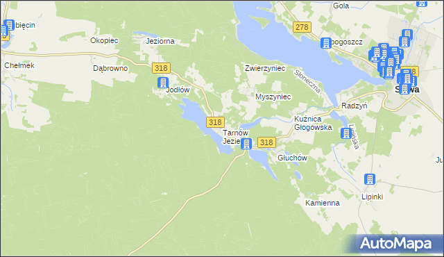 mapa Tarnów Jezierny, Tarnów Jezierny na mapie Targeo