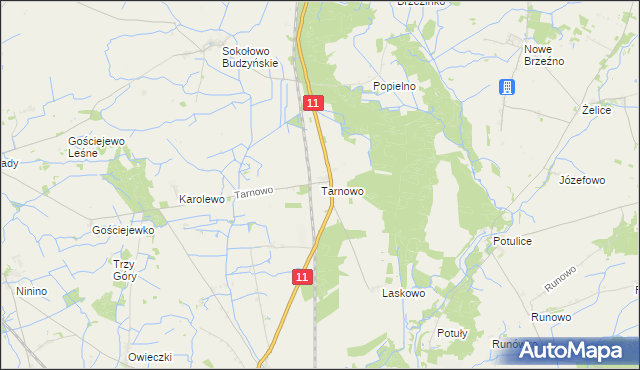 mapa Tarnowo gmina Rogoźno, Tarnowo gmina Rogoźno na mapie Targeo