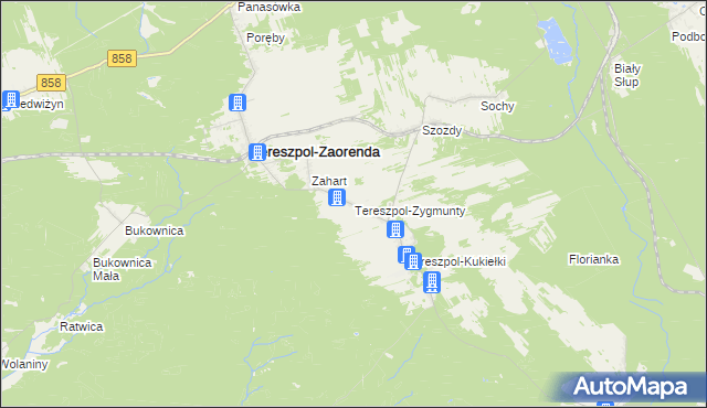 mapa Tereszpol-Zygmunty, Tereszpol-Zygmunty na mapie Targeo