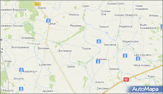 mapa Tłubice, Tłubice na mapie Targeo