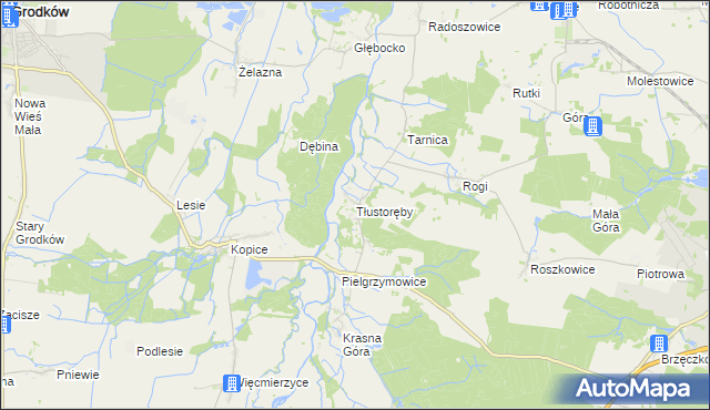 mapa Tłustoręby, Tłustoręby na mapie Targeo