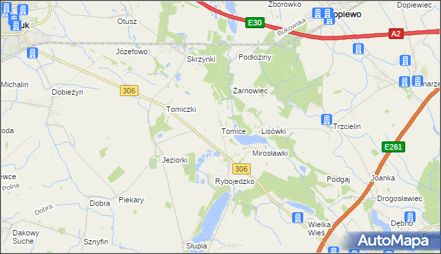 mapa Tomice gmina Stęszew, Tomice gmina Stęszew na mapie Targeo