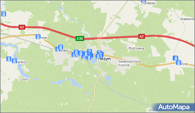 mapa Torzym, Torzym na mapie Targeo