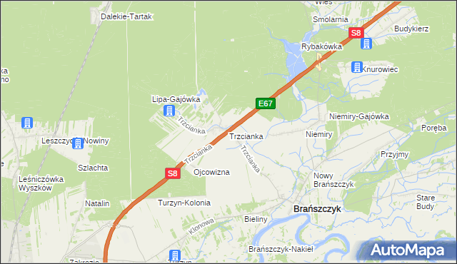 mapa Trzcianka gmina Brańszczyk, Trzcianka gmina Brańszczyk na mapie Targeo