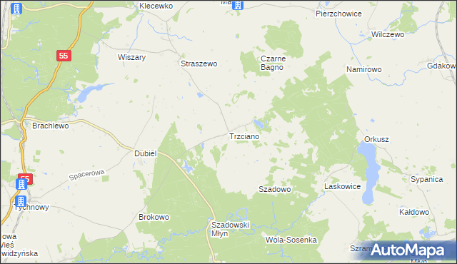 mapa Trzciano gmina Ryjewo, Trzciano gmina Ryjewo na mapie Targeo