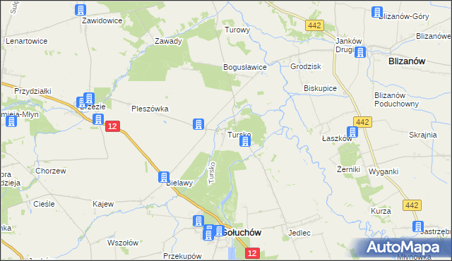 mapa Tursko gmina Gołuchów, Tursko gmina Gołuchów na mapie Targeo