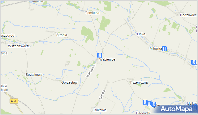 mapa Wabienice, Wabienice na mapie Targeo