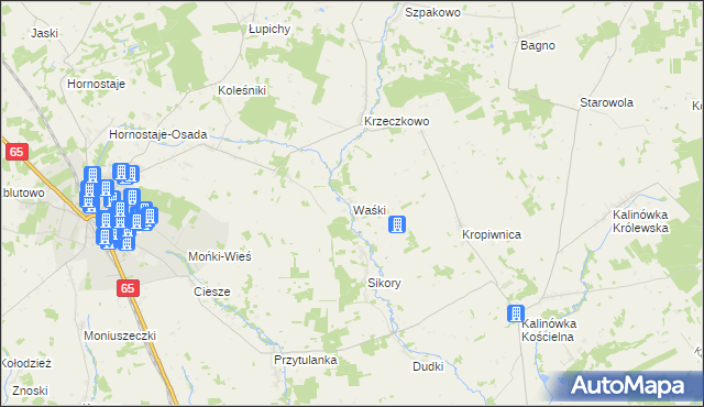 mapa Waśki gmina Mońki, Waśki gmina Mońki na mapie Targeo