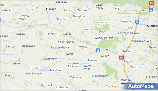 mapa Wężyki, Wężyki na mapie Targeo