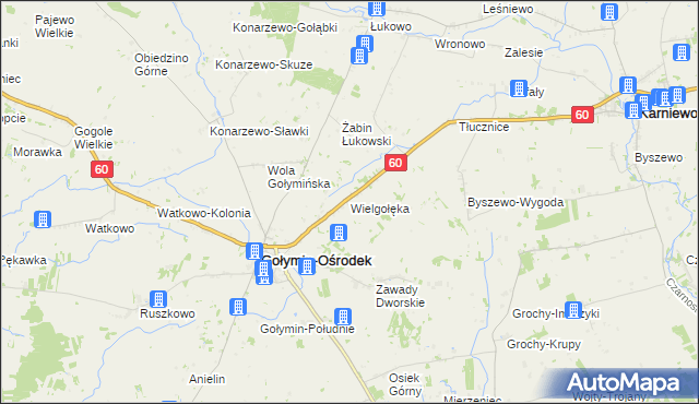 mapa Wielgołęka, Wielgołęka na mapie Targeo