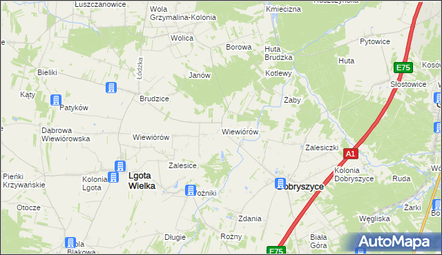 mapa Wiewiórów gmina Dobryszyce, Wiewiórów gmina Dobryszyce na mapie Targeo