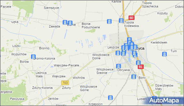 mapa Wilczkowice Dolne gmina Łęczyca, Wilczkowice Dolne gmina Łęczyca na mapie Targeo