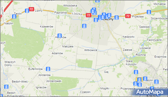 mapa Witkowice gmina Brzeziny, Witkowice gmina Brzeziny na mapie Targeo
