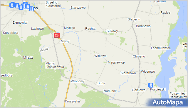 mapa Witkowo gmina Strzelno, Witkowo gmina Strzelno na mapie Targeo