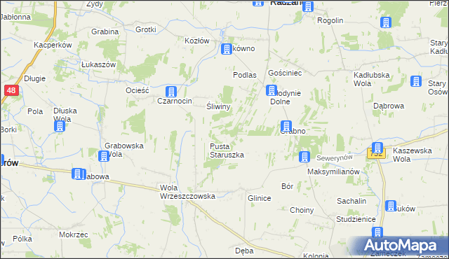 mapa Witoldów gmina Przytyk, Witoldów gmina Przytyk na mapie Targeo