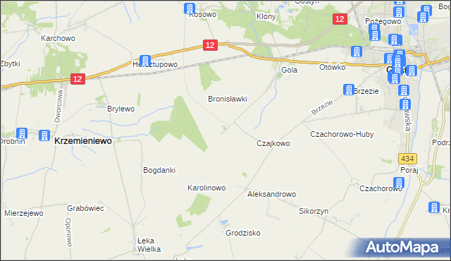 mapa Witoldowo gmina Gostyń, Witoldowo gmina Gostyń na mapie Targeo