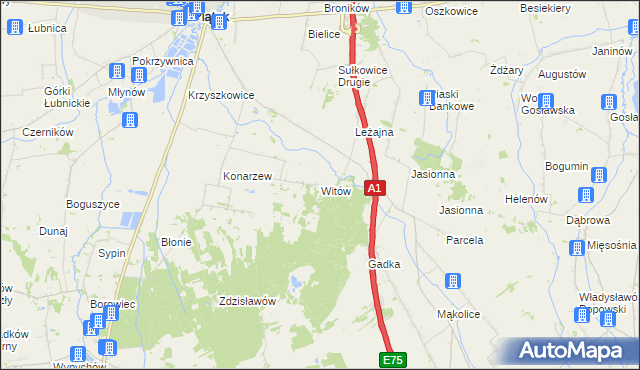 mapa Witów gmina Piątek, Witów gmina Piątek na mapie Targeo