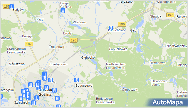 mapa Worowo gmina Murowana Goślina, Worowo gmina Murowana Goślina na mapie Targeo
