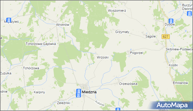 mapa Wrzoski gmina Miedzna, Wrzoski gmina Miedzna na mapie Targeo