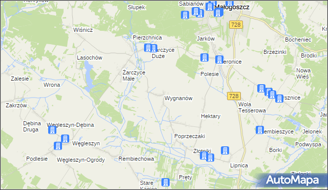 mapa Wygnanów gmina Małogoszcz, Wygnanów gmina Małogoszcz na mapie Targeo