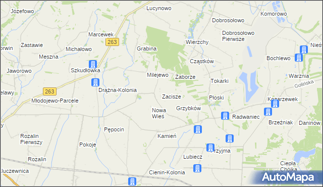 mapa Zacisze gmina Słupca, Zacisze gmina Słupca na mapie Targeo