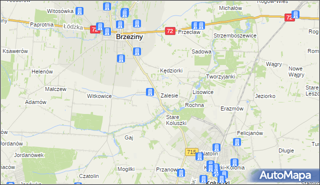 mapa Zalesie gmina Brzeziny, Zalesie gmina Brzeziny na mapie Targeo