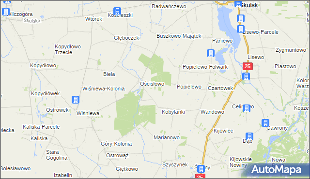 mapa Zalesie gmina Skulsk, Zalesie gmina Skulsk na mapie Targeo
