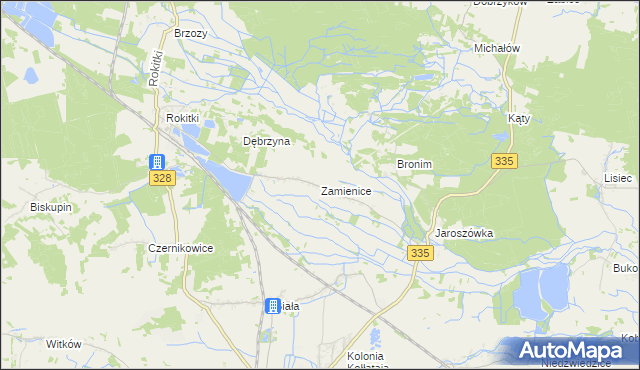 mapa Zamienice, Zamienice na mapie Targeo