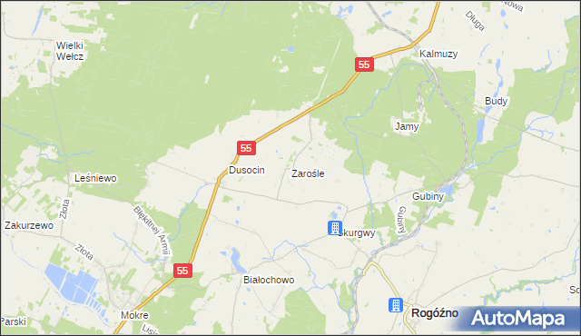 mapa Zarośle gmina Rogóźno, Zarośle gmina Rogóźno na mapie Targeo