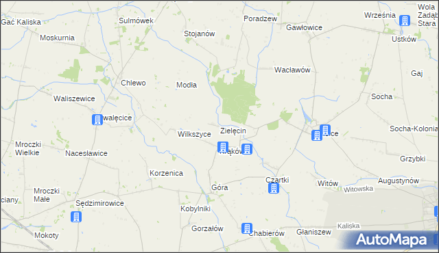 mapa Zielęcin gmina Warta, Zielęcin gmina Warta na mapie Targeo